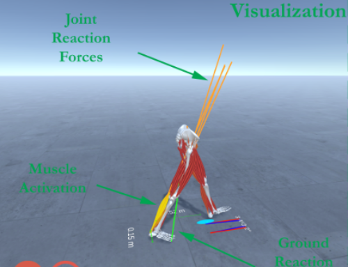 Real-Time Musculoskeletal Kinematics and Dynamics Analysis Using Marker- and IMU-based Solutions in Rehabilitation