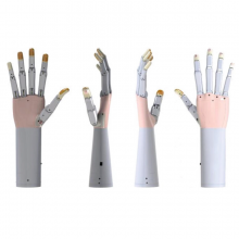 Development and Control of a Multifunctional Prosthetic Hand with Shape Memory Alloy Actuators