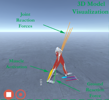 Real-Time Musculoskeletal Kinematics and Dynamics Analysis Using Marker- and IMU-based Solutions in Rehabilitation